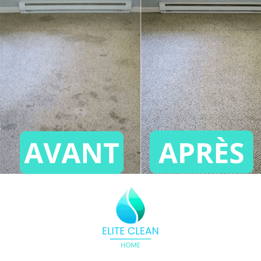 nettoyage tapis/moquettes à domicile sur grenoble - elitecleanhome