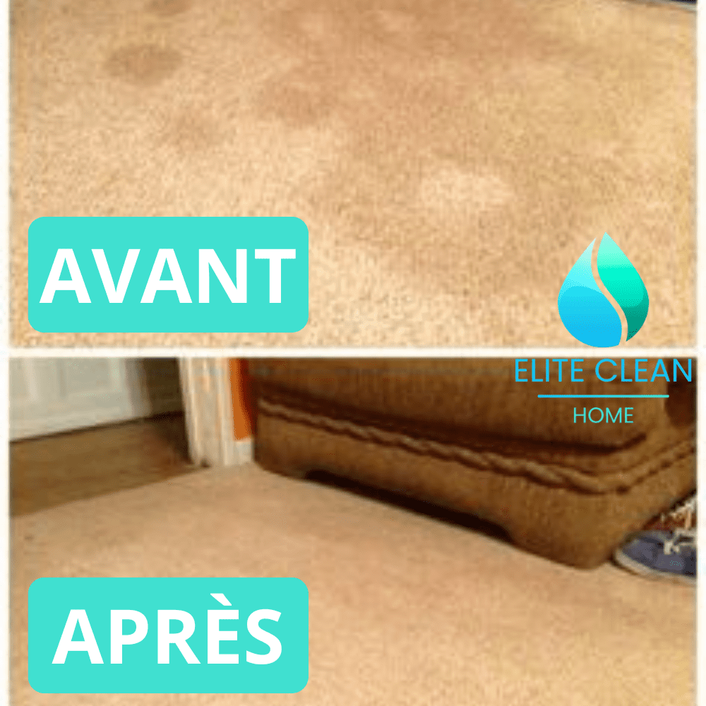 nettoyage tapis/moquettes à domicile sur grenoble - elitecleanhome