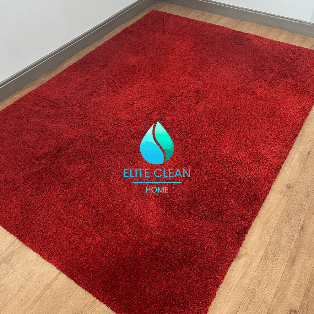 ENTREPRISE LAVAGE TAPIS GRENOBLE